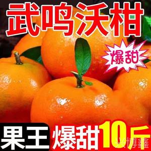 广西武鸣沃柑10斤新鲜当季水果整箱时令现摘现发包邮柑桔橘子特产