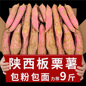 陕西正宗板栗红薯小香薯10斤蜜薯桥头地瓜农家自种新鲜沙地板栗薯