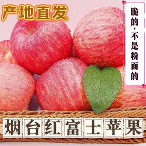 烟台红富士苹果应季新鲜水果脆甜多汁产地直发