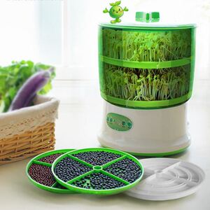 发黄豆芽神器