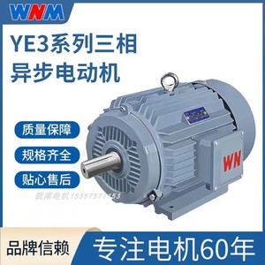 皖南三相交流异步电动机YE3/YE4/YE5/YX3高效节能4级kW