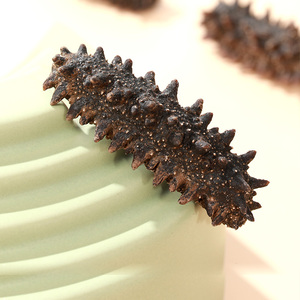 大彼得湾大红俄罗斯海参干货野生淡干刺参足干年货礼盒顺丰速达