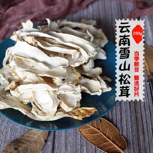 雪山松茸干货100g云南特产赤松茸干片野生菌天然蘑菇新鲜姬松茸菇