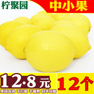柠聚园四川安岳一级黄柠檬 新鲜水果皮薄多汁中小果12个装