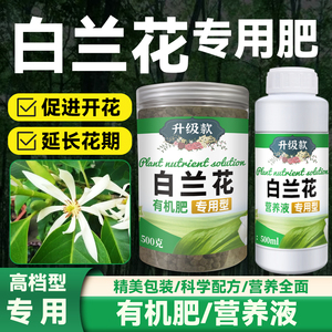 白兰花肥料专用肥营养液崤崥崦白玉兰黄角兰树的有机发枯黄叶面