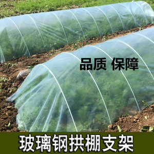 蔬菜棚支架保温棚花棚小拱棚拱杆农用园艺大棚骨架葡萄遮雨棚防雨