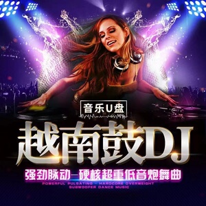 越南鼓2022dj劲爆电音舞曲重低音炸街d亅无损高品音质USB车载u盘