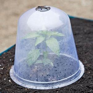 种植罩花盆盖子透明温室保暖过冬保湿防雨防冻多肉扦插蔬菜育苗盒