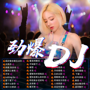 汽车载u盘dj抖音歌曲高音质无损usb优盘超重低音视频d亅专用∪盘
