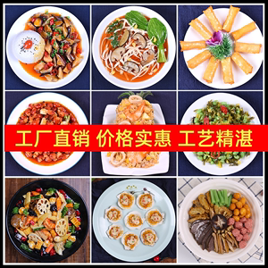 仿真菜品模型中餐炒菜饭模型食物食品道具假菜肴小吃样品模具定制