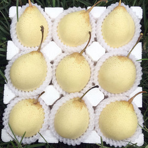 河北鸭梨水果当季整箱时令孕妇翠冠正宗天津水晶白梨雪梨5_阿里巴巴找