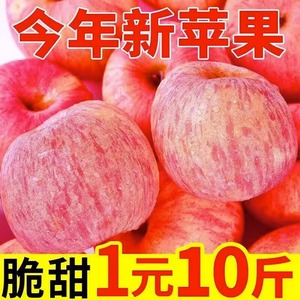 烟台栖霞苹果山东红富士冰糖心苹果当季新鲜脆甜多汁10斤包邮3斤5