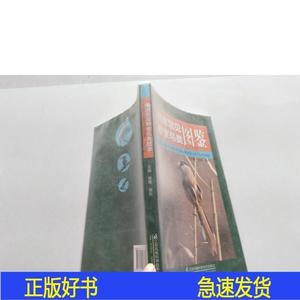 南京常见野生鸟类图鉴常青胥东江苏凤凰科学技术出版社2016-00-00