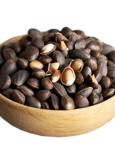 云南新鲜野生松子新货落水湿松子薄皮孕妇手剥松子散装原味大颗粒