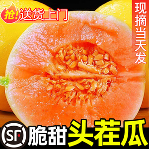 黄河蜜瓜9斤新鲜水果整箱当季陕西黄金甜瓜金红宝哈密瓜味香瓜