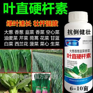 大葱香菜香葱叶直硬杆素 韭菜芹菜白菜菠菜叶面肥抗倒剂控旺增产