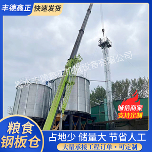 丰德鑫正养殖场饲料厂使用 玉米粮食钢板仓镀锌储料仓厂家直发