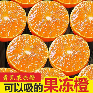 青见果冻橙当季新鲜9斤整箱桔子现摘橘子孕妇可以吸水果酸甜多汁