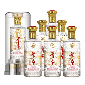 五粮液股份一尊天下经典 52度浓香型白酒500ml*6瓶宴请送礼整箱装