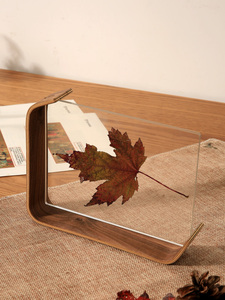 标本相框高级感摆台亚克力双面透明画框6寸7个性创意树叶装裱摆件