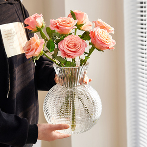 ins高级感花瓶摆件创意网格圆球形玻璃透明水养插花百合客厅装饰
