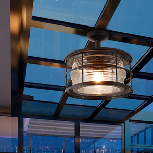 玻璃阳光房专用灯防水吸顶灯雨棚阳光棚吊灯户外阳台凉亭室外灯具