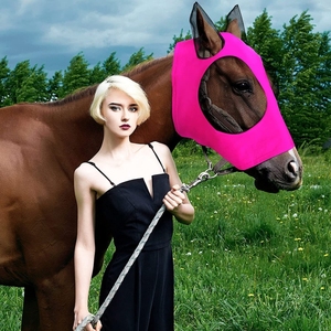 马脸透气马面罩新款防蚊马头罩马匹马衣马面罩马术用品马具