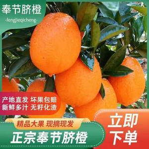 脐橙鲜果重庆奉节脐橙甜橙子新鲜农家自种脐橙应季孕妇水果手剥10