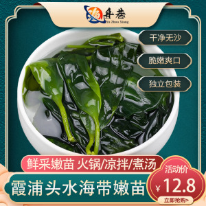 霞浦海带嫩苗5斤特级商用新鲜盐渍小海带芽干货火锅食材非裙带菜