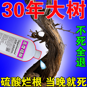 硫酸烂树根神器杀树粉烂根剂强力杀大树根专用硫酸强力腐蚀灭根药