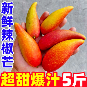 海南辣椒芒果5斤新鲜水果当季热带树上熟贵妃芒果金玉青煌台芒果