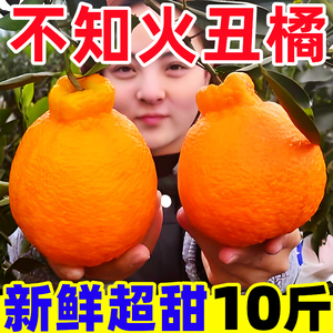 四川不知火丑橘10斤新鲜水果时令应当季整箱包邮桔子耙耙丑柑橘子
