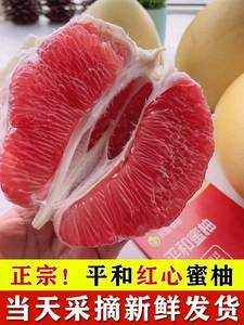 红心柚子平和琯溪蜜柚三红肉现摘福建漳州当季新鲜水果红柚现货