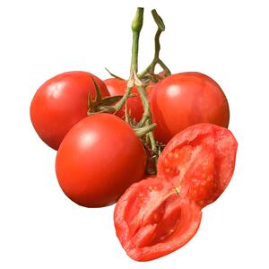 云南露天老品种西红柿新鲜自然熟小番茄农家沙瓤有籽酸甜多汁9斤