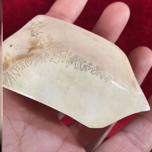 三界牌鹿骨雕刻