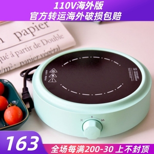 110v欧洲出口日本茶炉壶煮茶器电电磁炉陶炉铁壶美国台湾玻璃小家