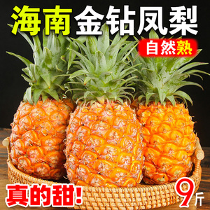 海南金钻凤梨9斤新鲜水果大果无眼应季香水菠萝手撕芒果风梨特产