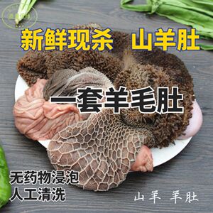 当天现杀农家散养羊肚整个羊肚清洗干净新鲜生羊肚纯羊肚煲汤包邮