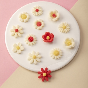 巧克力小花蛋糕装饰品火锅店甜品西点慕斯纸杯蛋糕翻糖小雏菊烘焙