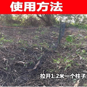 双结加粗加强柔软尼龙网单层网粘网尼龙线网渔网黄鳝泥鳅网长黑鱼