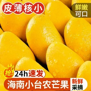 海南小台农芒果甜应季热带水果黄芒果小芒果鸡蛋芒3/10斤整箱台芒