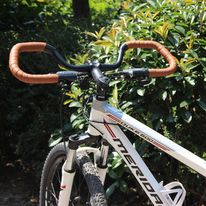 捷安特旅行车自行车