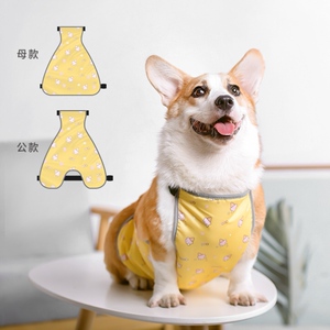 cq5515淘宝潮查利家宠物秋冬加绒保暖包肚衣服泰迪比熊网红猫咪公母