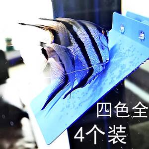 水族宠物用品观赏鱼孵化器七彩神仙燕鱼繁殖产卵板罐四色鱼缸设备