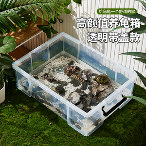 乌龟周转箱饲养缸大号带盖生态造景塑料透明乌龟缸鱼缸家用水族箱