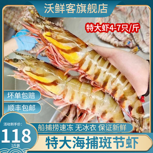 深海斑节虾鲜活速冻特大九节虾海捕船冻竹节虾海水产黑虎虾基围虾