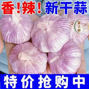 大蒜头5斤/10斤新干蒜大蒜河南农家紫皮新鲜蔬菜大蒜种2斤3斤包邮