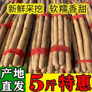 正宗河南焦作温县垆土铁棍山药新鲜现挖粉糯怀淮山生铁杆包邮甘甜