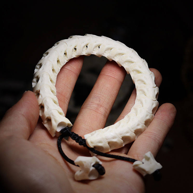 泰国真蛇骨手链天然文玩手串盘玩潮时尚男女情侣骨头饰品包邮