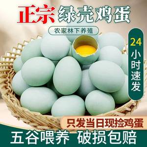 乌鸡蛋正宗农家散养新鲜绿壳农村草鸡蛋40枚无菌绿皮土鸡蛋柴鸡蛋